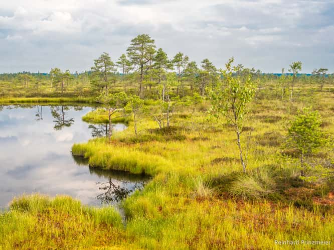 Ingatsu bog path