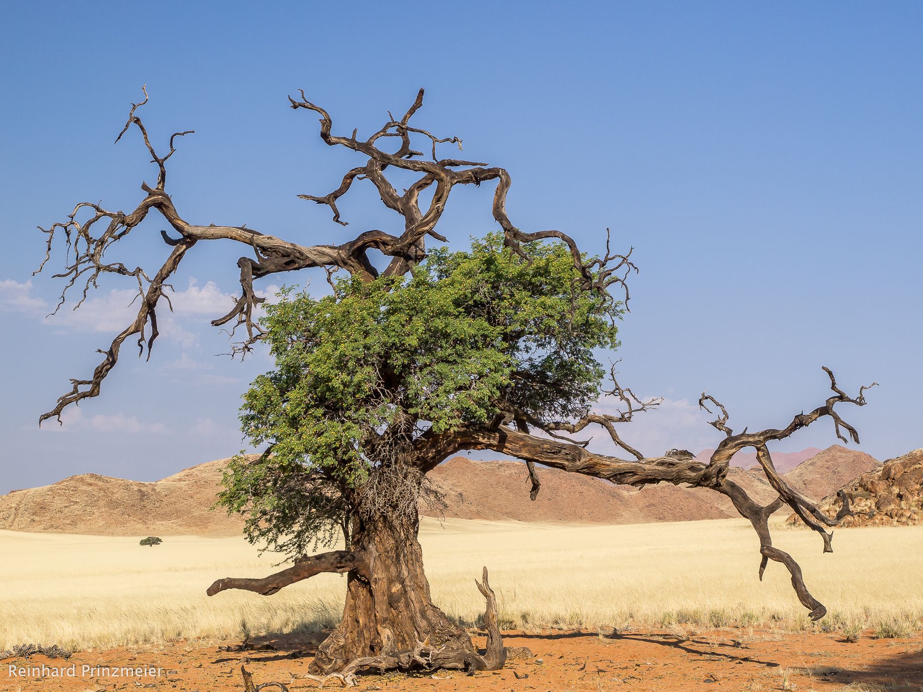 Kanaan Guest Farm, Namibia
