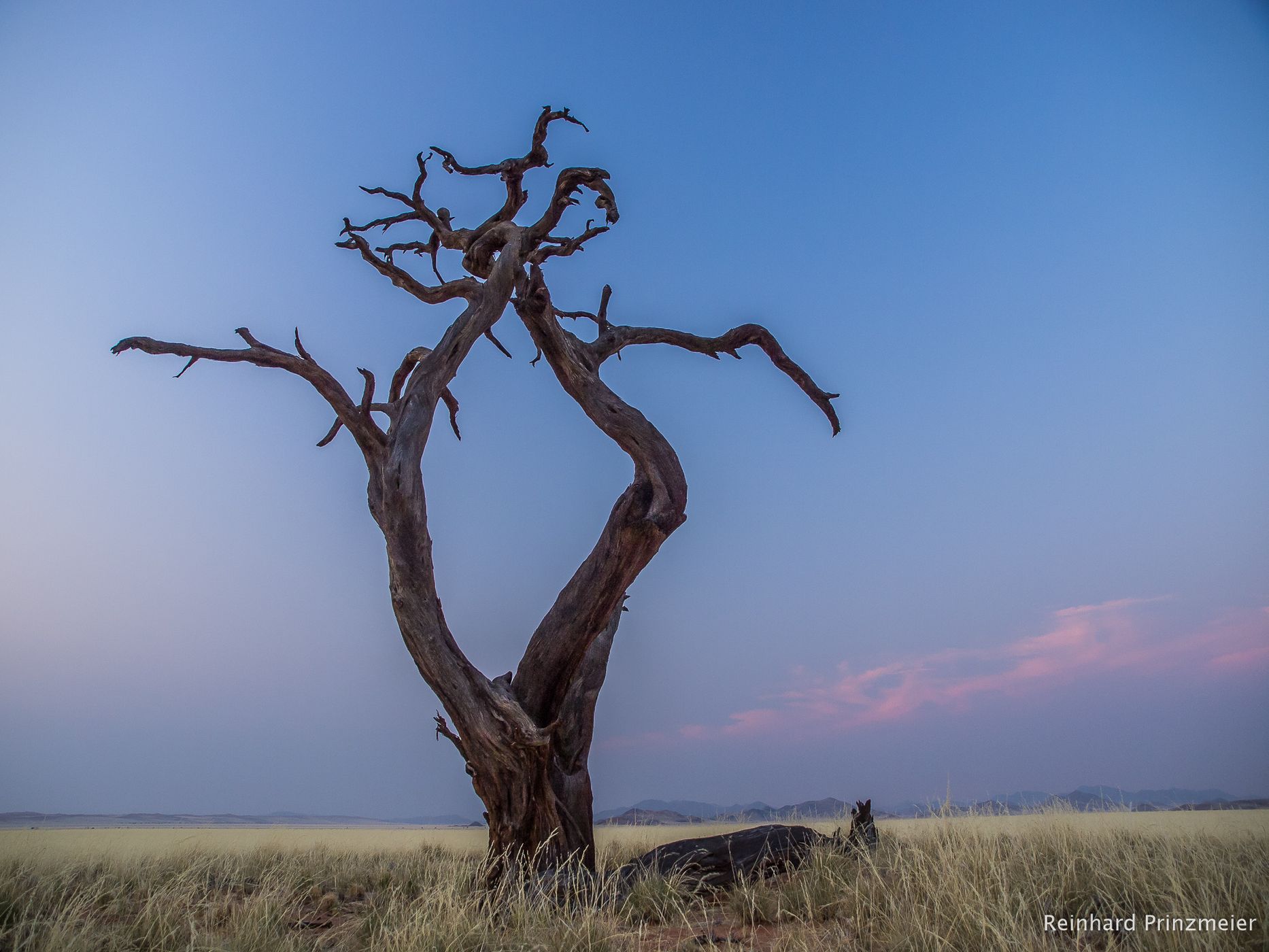 Kanaan Guest Farm, Namibia