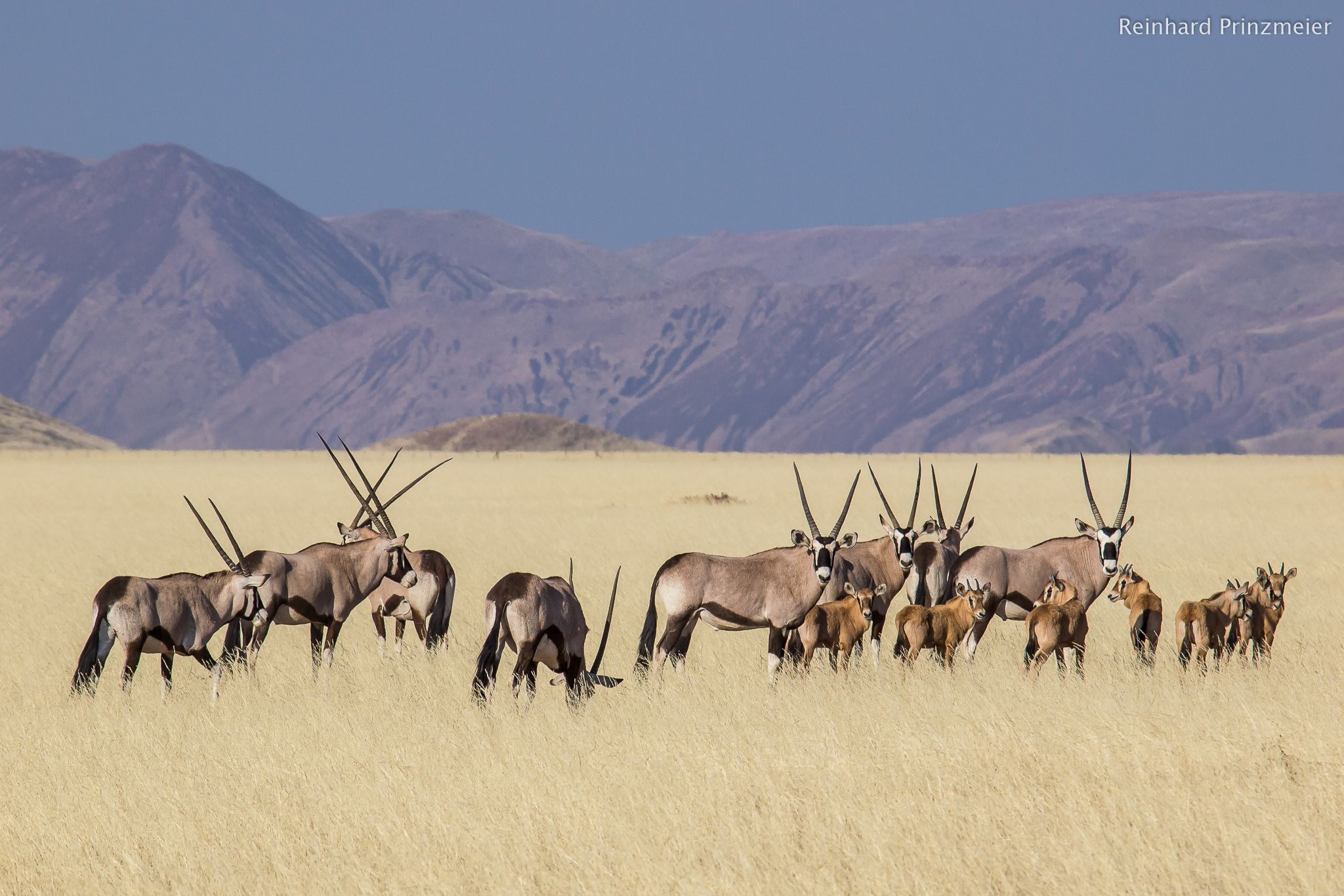 Kanaan Guest Farm, Namibia