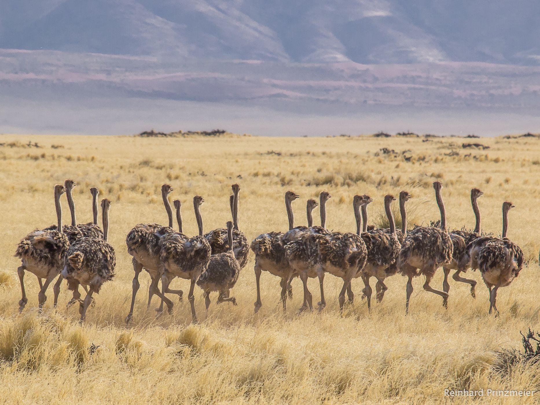 Kanaan Guest Farm, Namibia