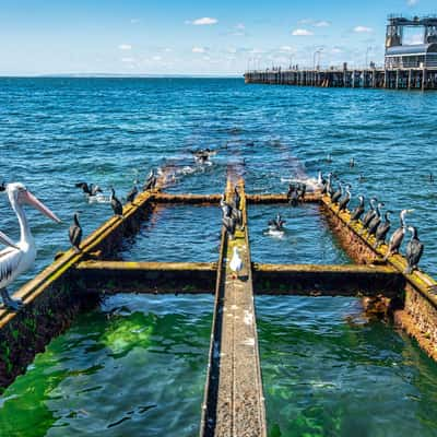 Kingscote boat Slipway Kangaroo Island, South Australia, Australia