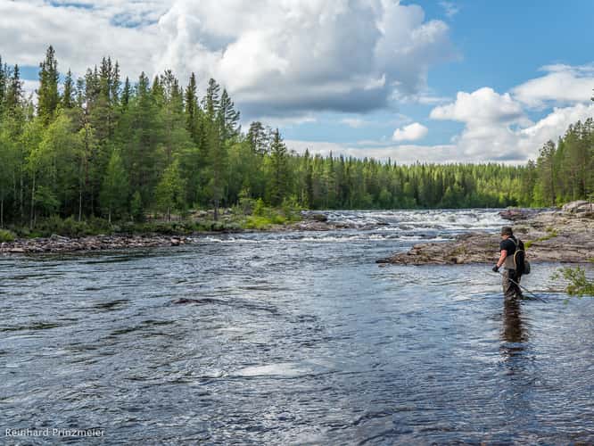 Klingforsen Rapids