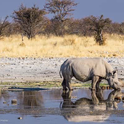 Klippan waterhole, Namibia