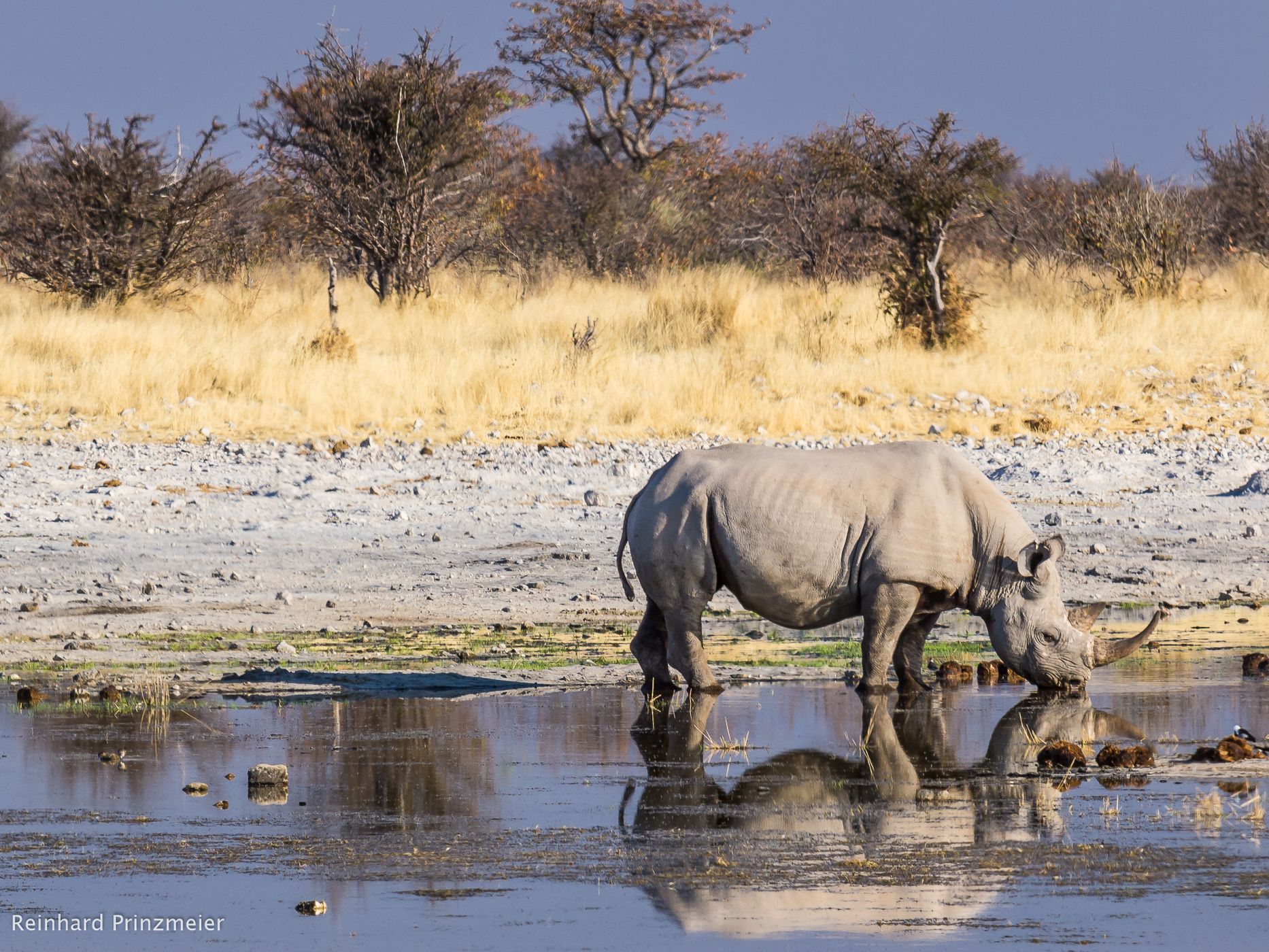 Klippan waterhole, Namibia