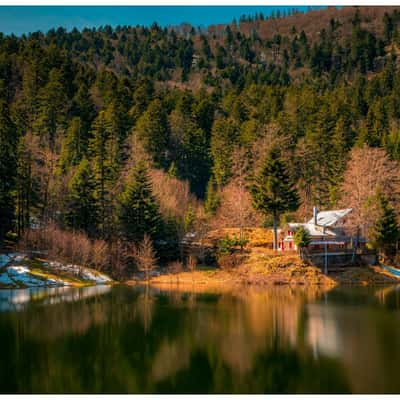 Lac du Neuweiher, France