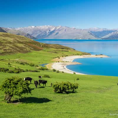 Lake Hawea Bottom Bay, New Zealand