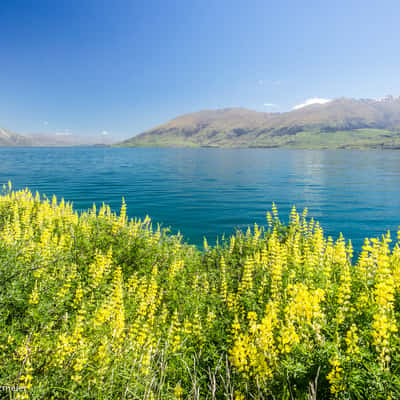 Lake Wanaka (northeast), New Zealand