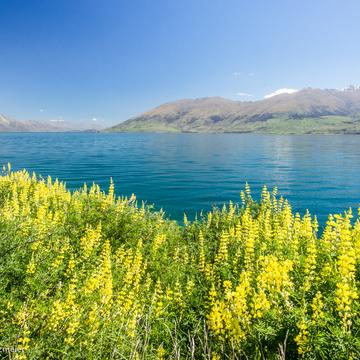 Lake Wanaka (northeast), New Zealand