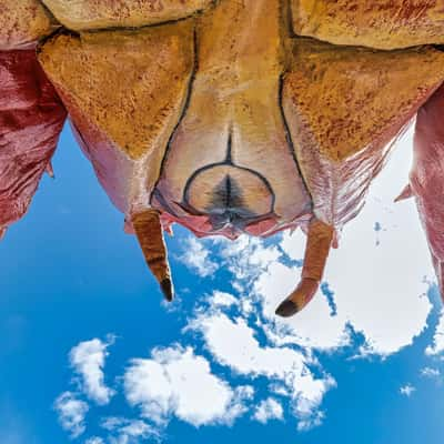 Larry the Lobster the giant, Kingstone SE, South Australia, Australia