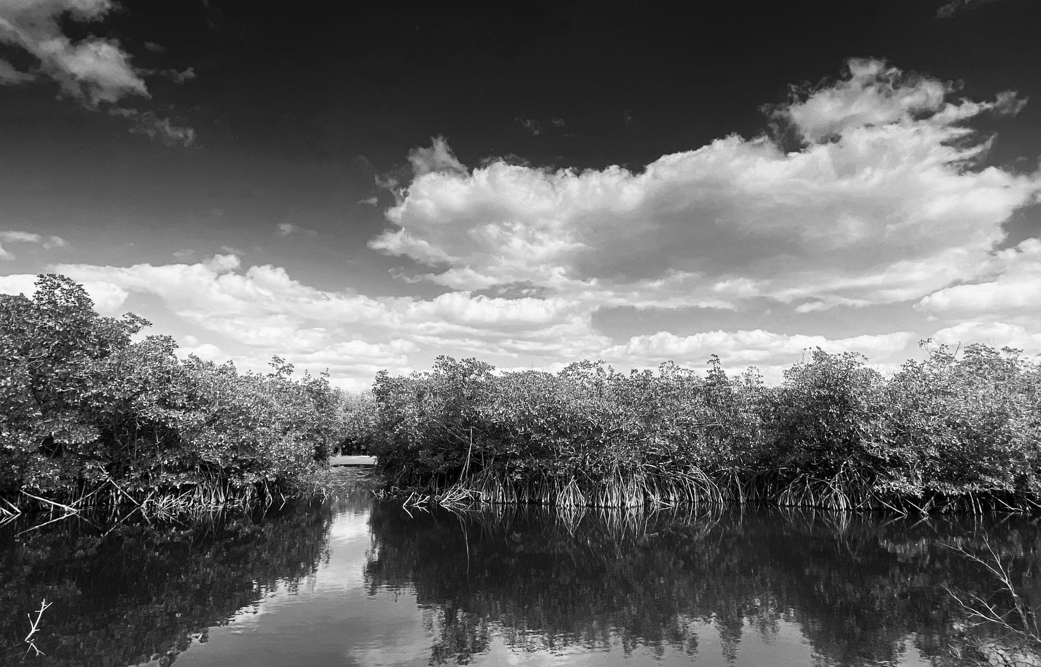 Marco Island - Marsh Trail, USA