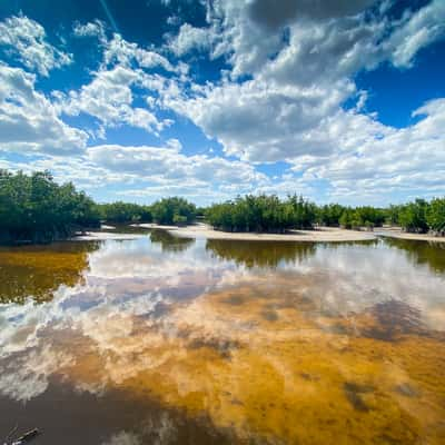 Marco Island - Marsh Trail, USA