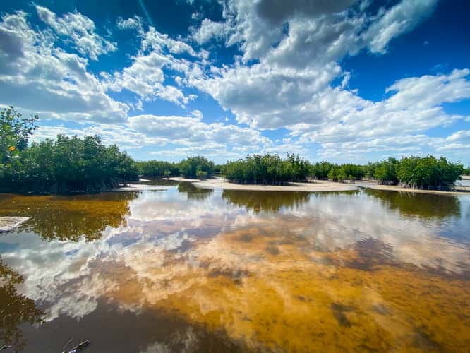 Marco Island - Marsh Trail