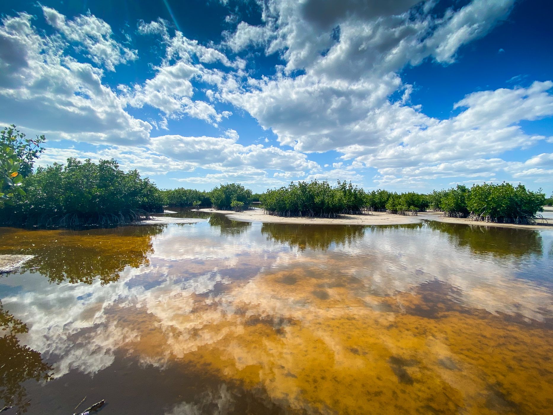 Marco Island - Marsh Trail, USA