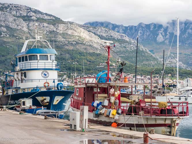 Marina Bar