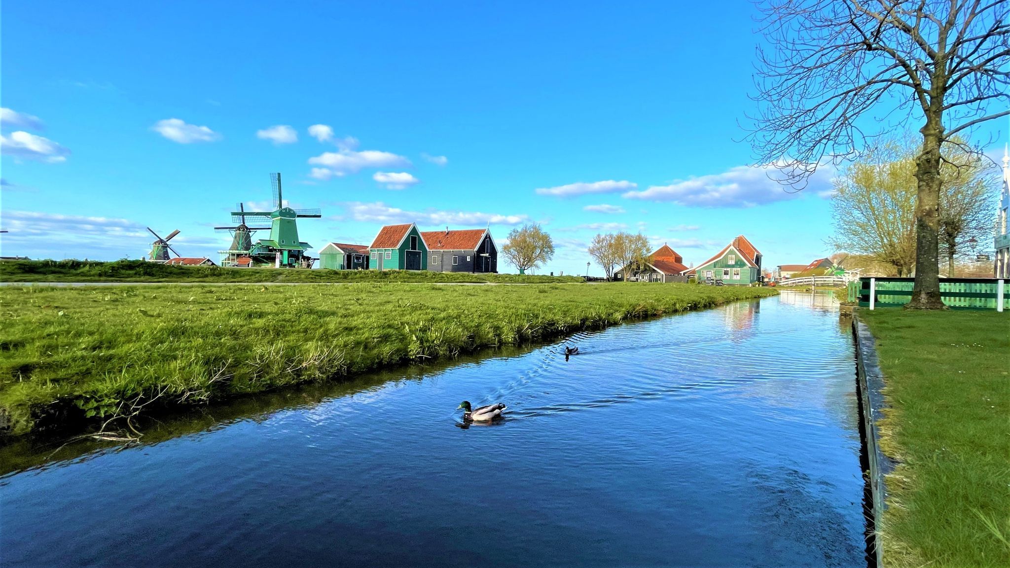 Mills and houses, Netherlands