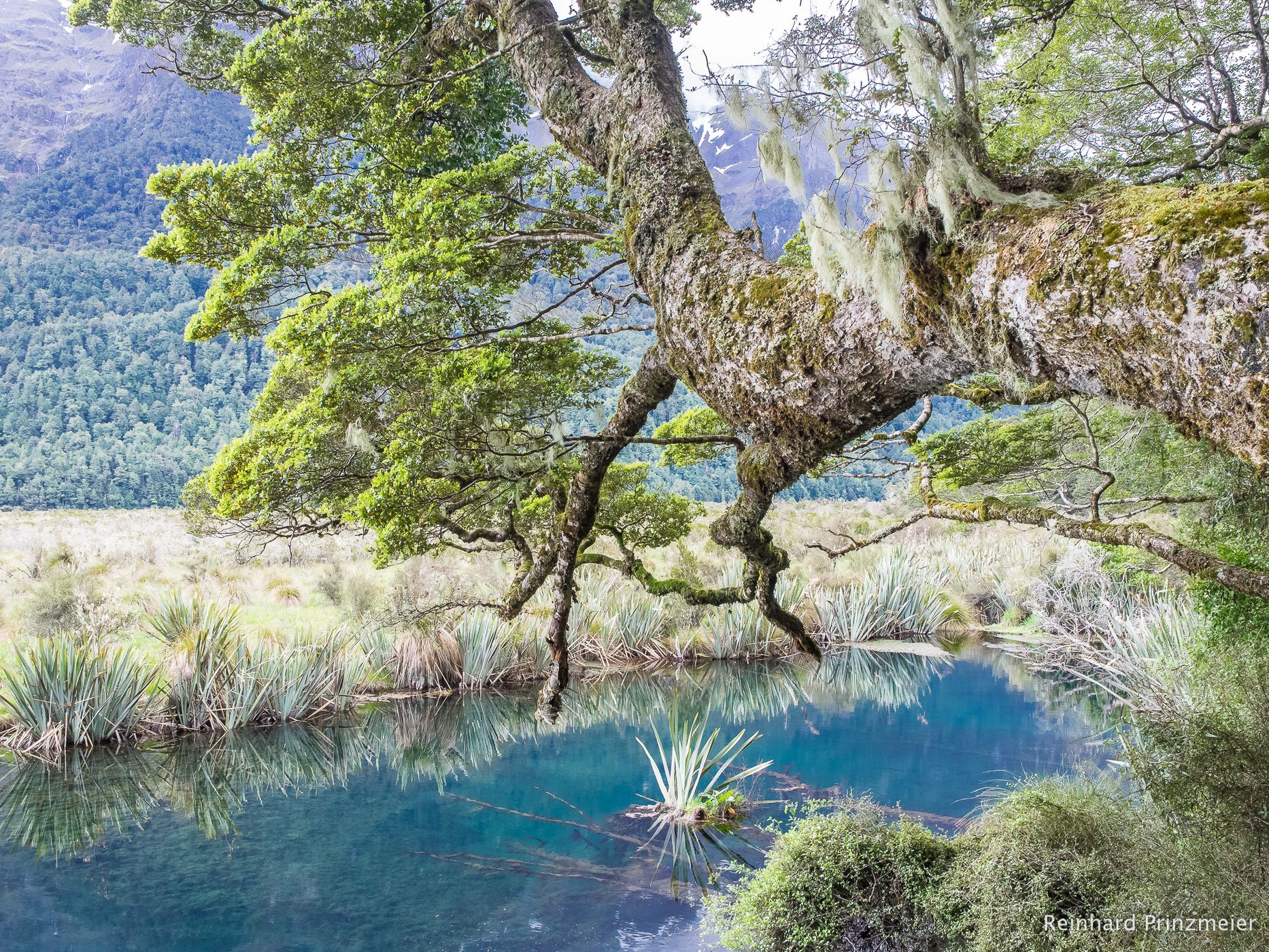 Mirror Lake, Fiordland National Park South Island, New Zealand