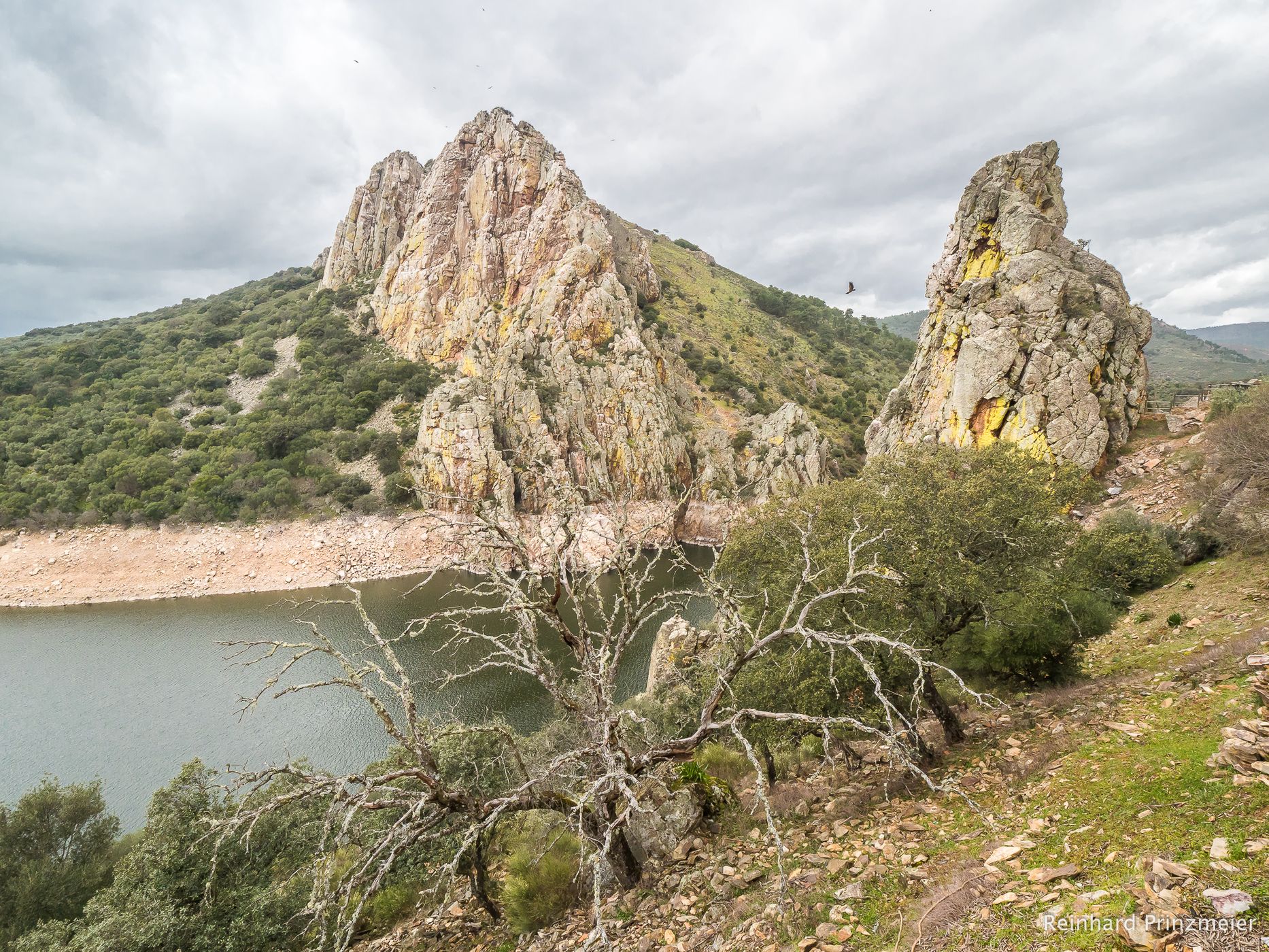 Monfragüe Vulture Rock, Spain