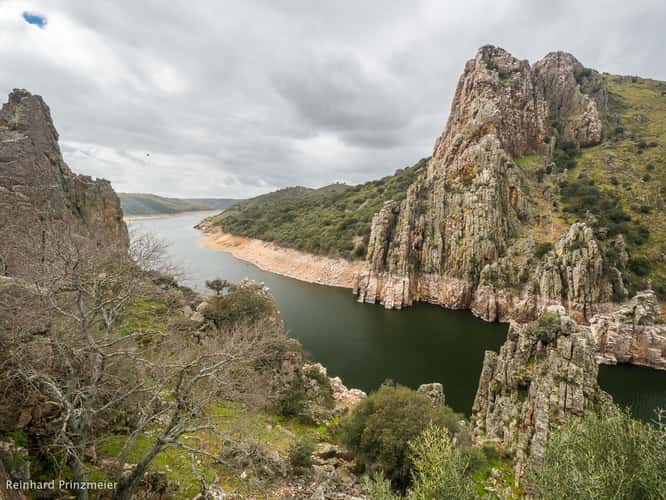 Monfragüe Vulture Rock