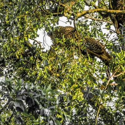 Nairobi Safari Walk, Kenya