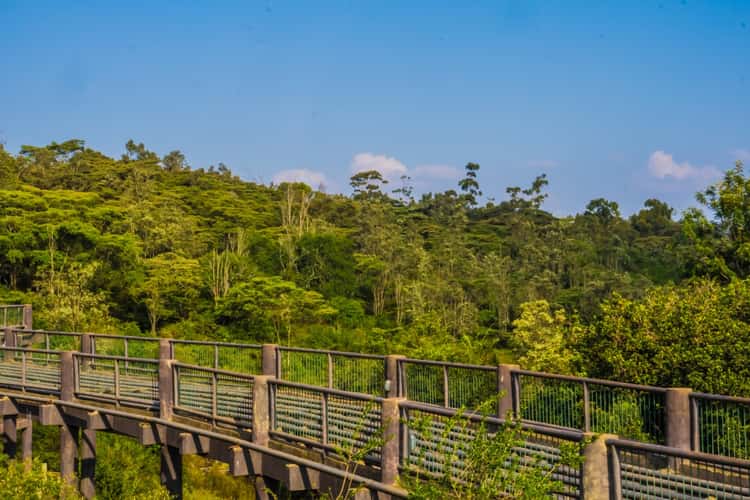 Nairobi Safari Walk