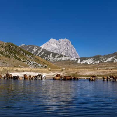 Nel nido dell'aquila, Italy