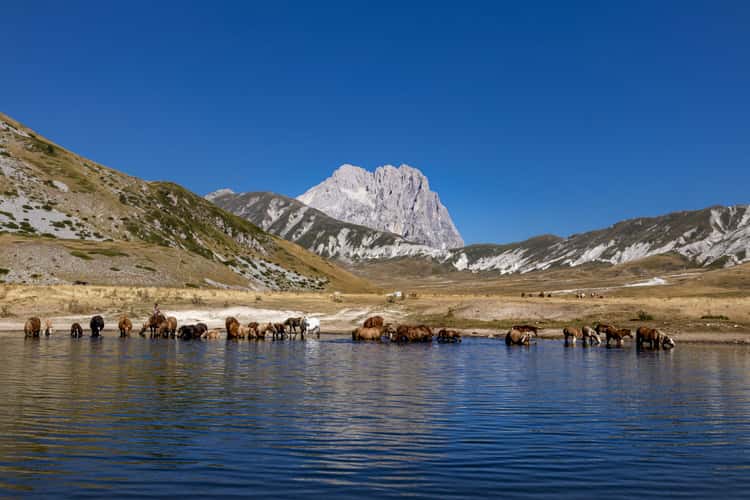 Nel nido dell'aquila