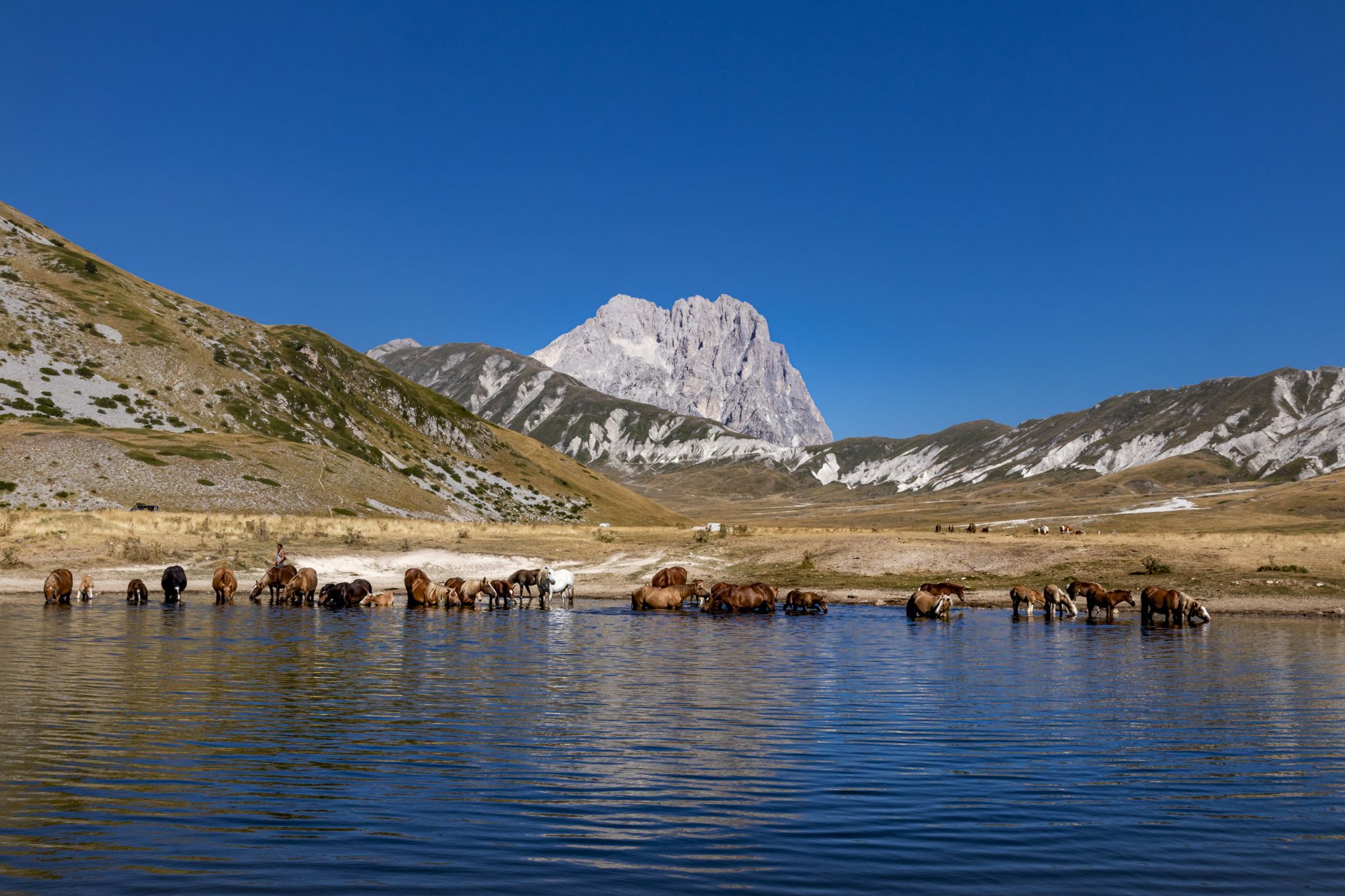 Nel nido dell'aquila, Italy