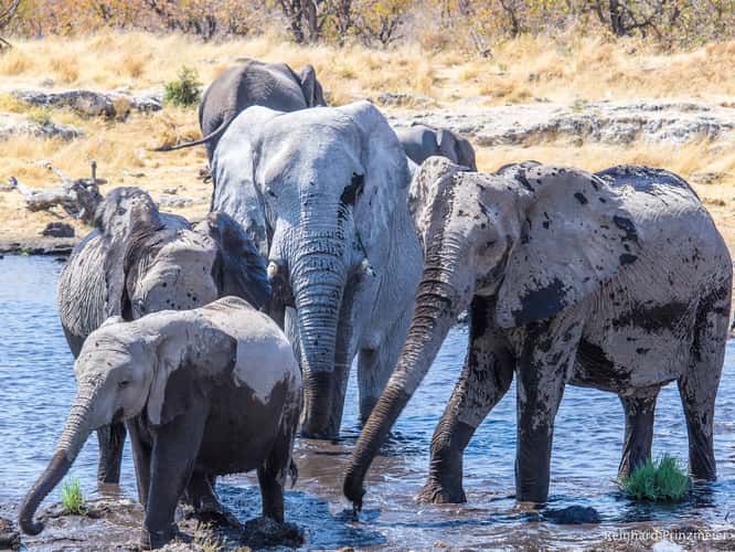Nuamses waterhole