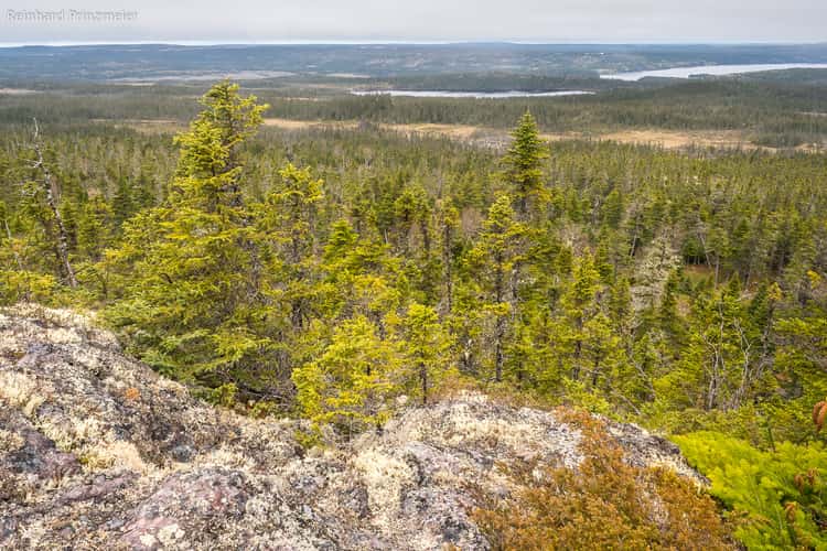 Ocre Hill Viewpoint