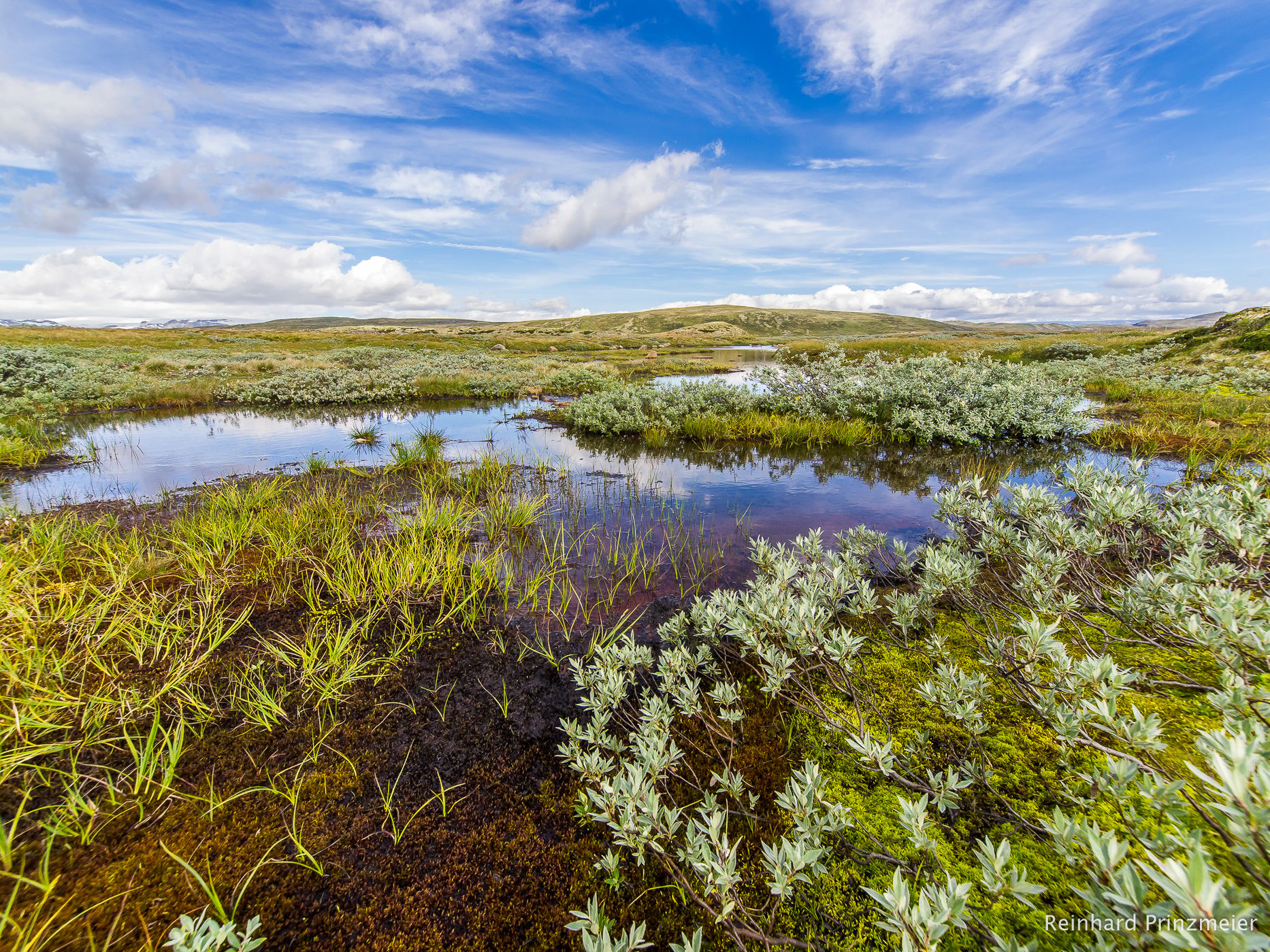 on the Hardangervidda, Norway