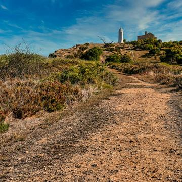 Pathway to Port Malcolm Lighthouse Narrung SA, Australia