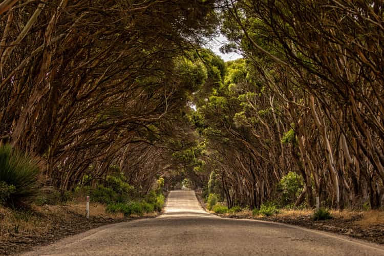Road to Cape Willoughby, Kangaroo Island, South Australia