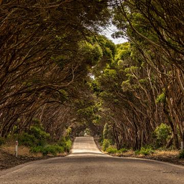 Road to Cape Willoughby, Kangaroo Island, South Australia, Australia