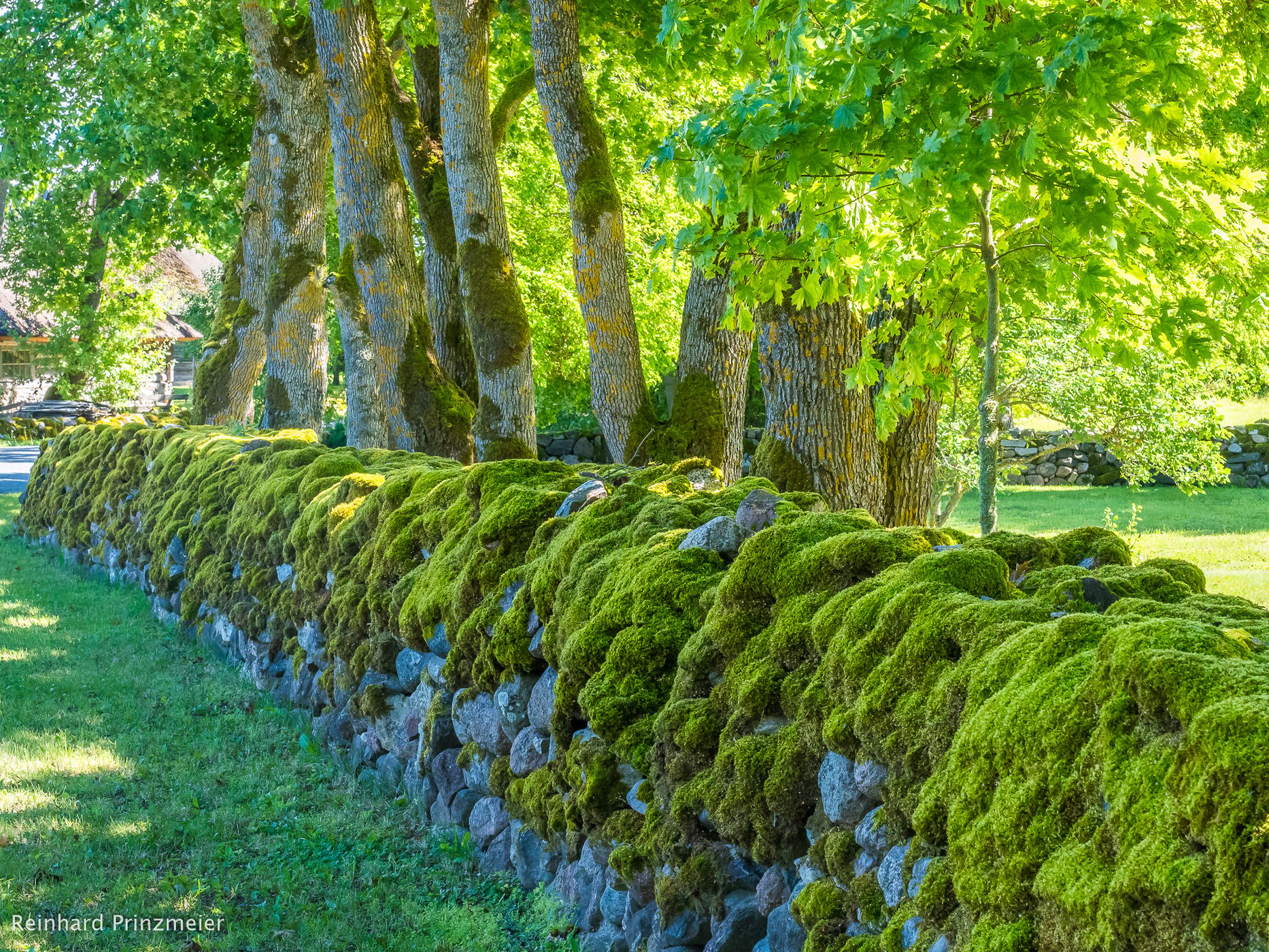 Rootsivere, Estonia
