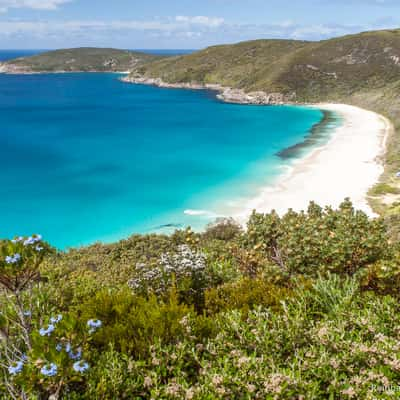 Shelley Beach Lookout, Australia