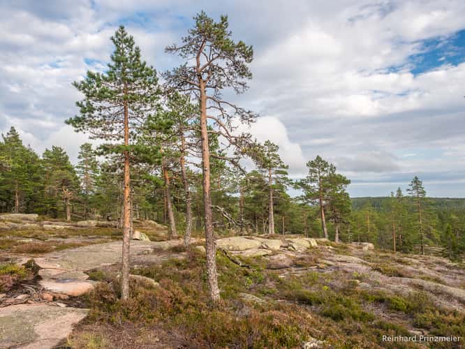 Skuleskogen West Entrance