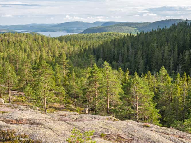 Skuleskogen West Entrance