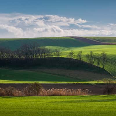 Spring early evening between the fields, Czech Republic