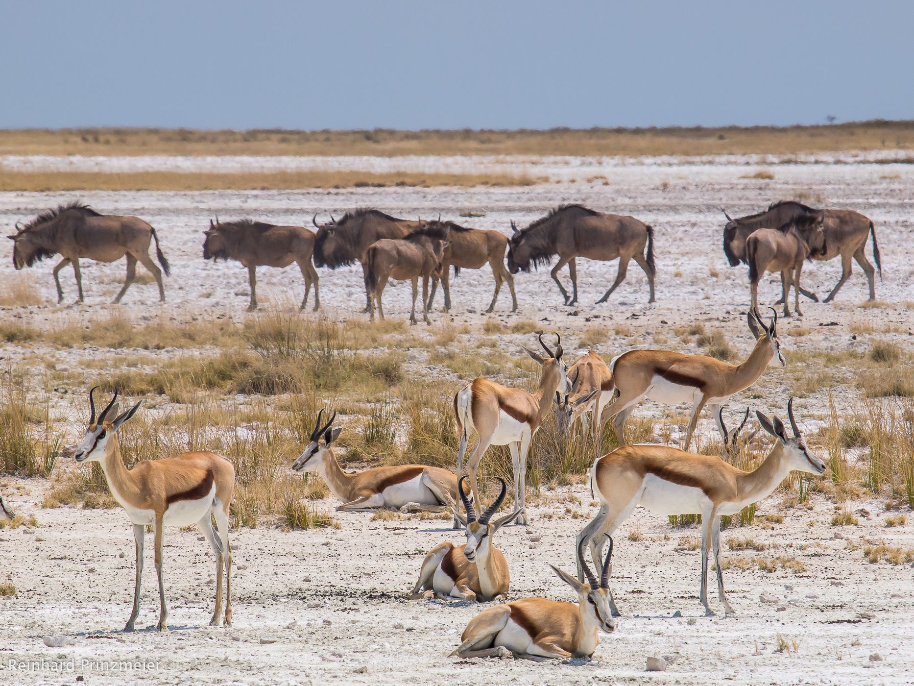 Springbokfontein, Namibia