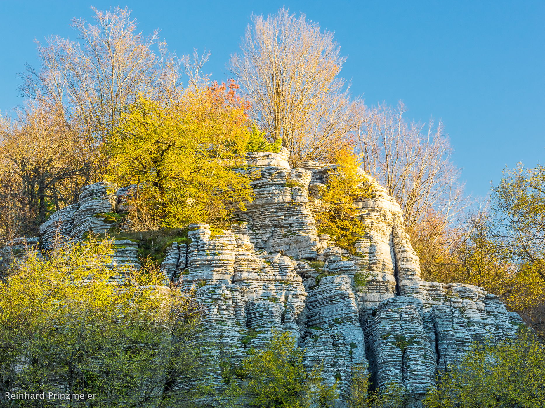 Stone Forest Vikos Aóos National Park, Greece