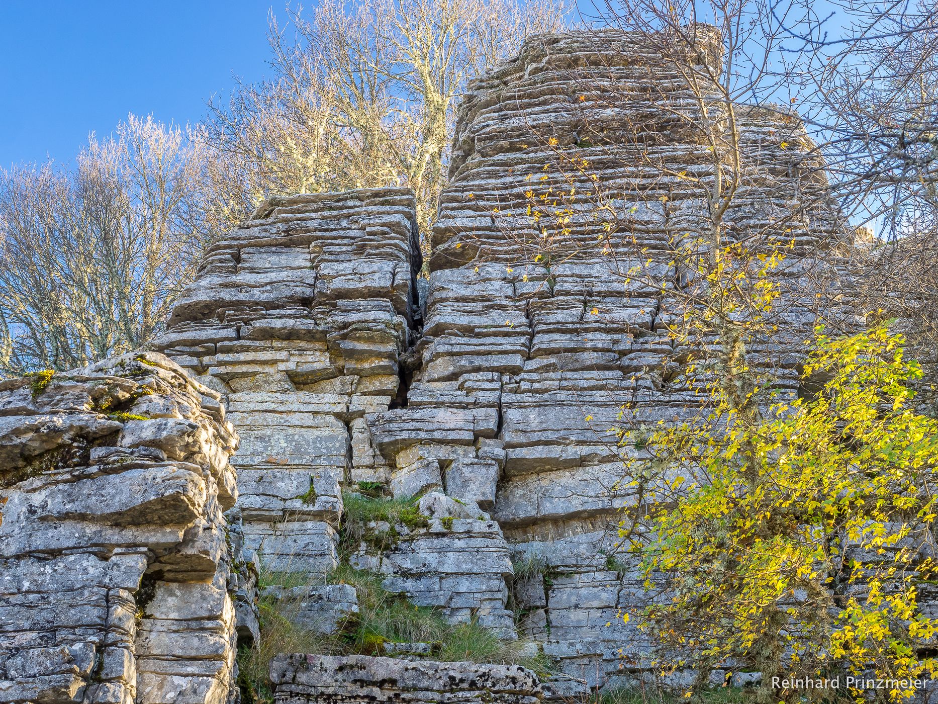 Stone Forest Vikos Aóos National Park, Greece
