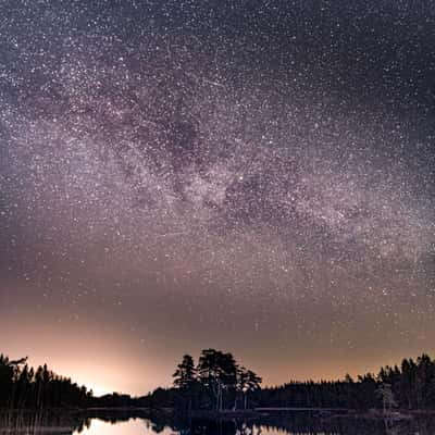 Svartedalen Naturreservat, Sweden