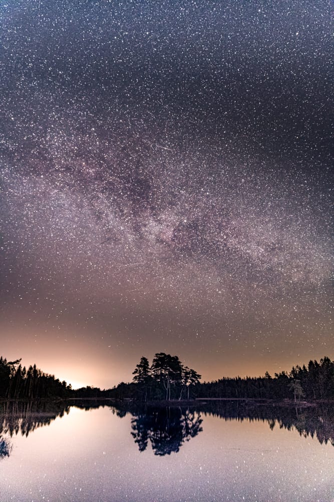 Svartedalen Naturreservat, Sweden