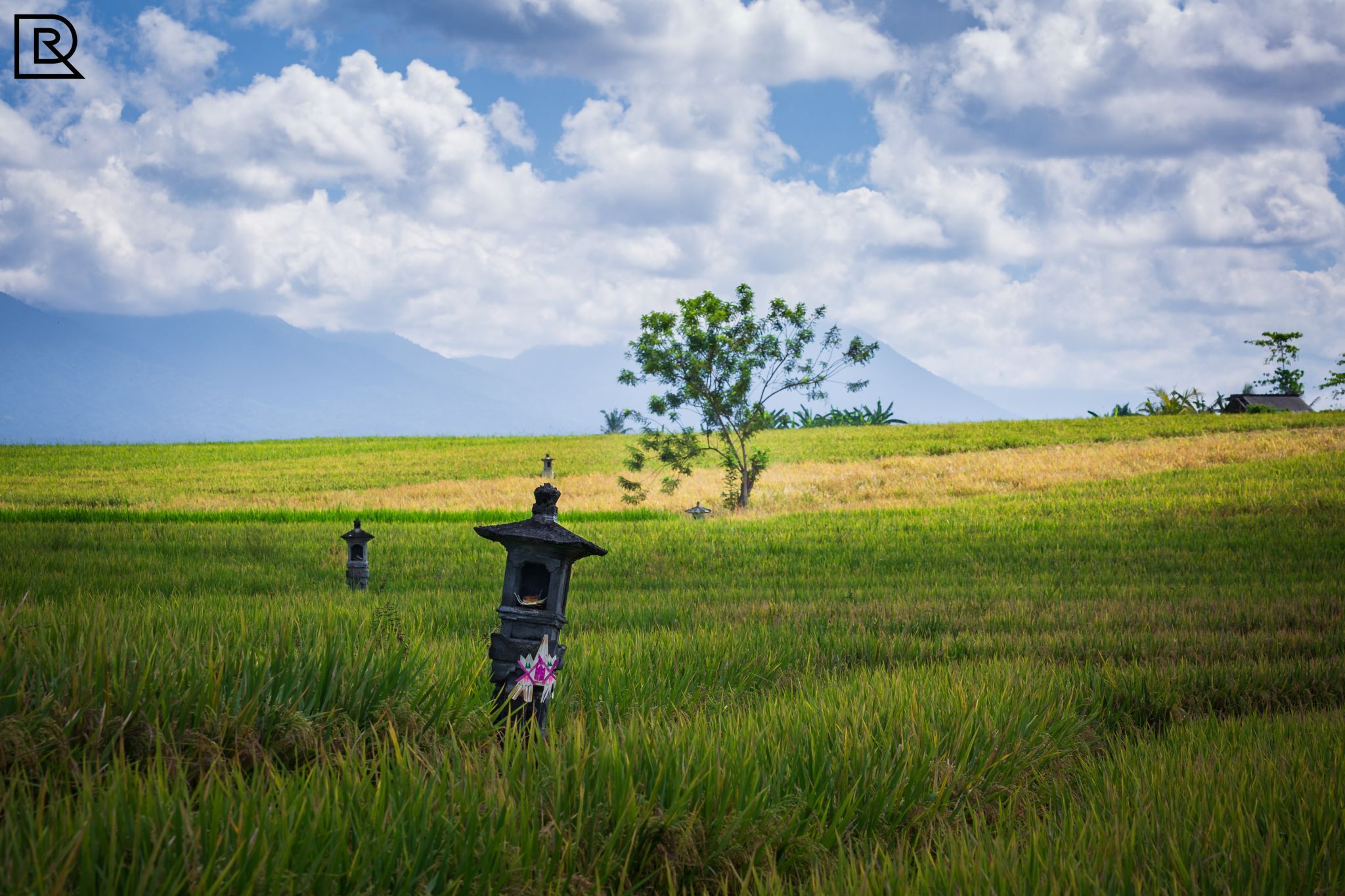Temple Fields, Indonesia