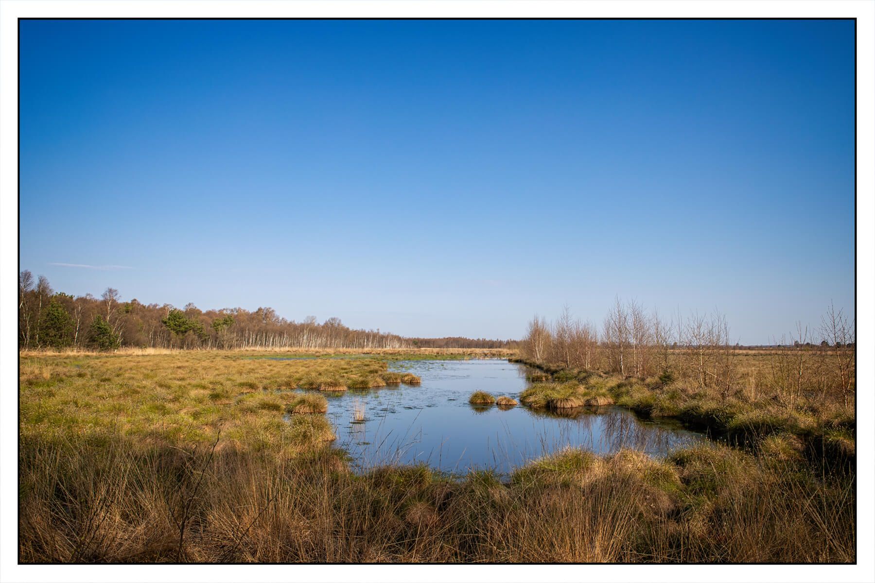 The moor, Germany
