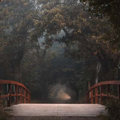 The red bridge, Strandmøllen, Denmark