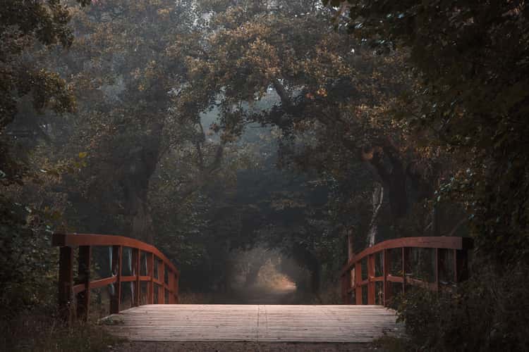 The red bridge, Strandmøllen