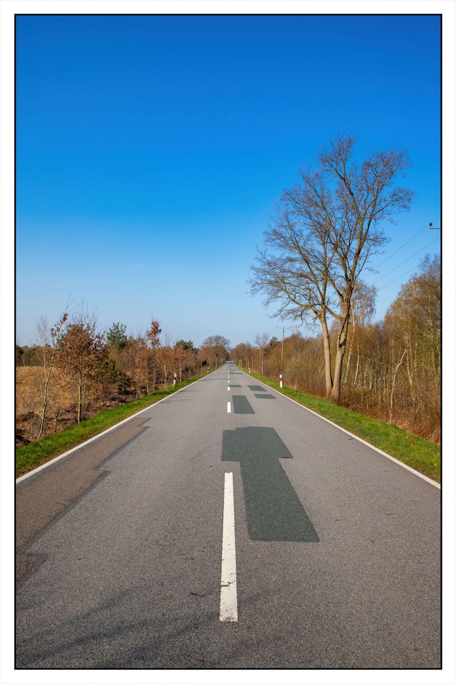The road through the moor, Germany