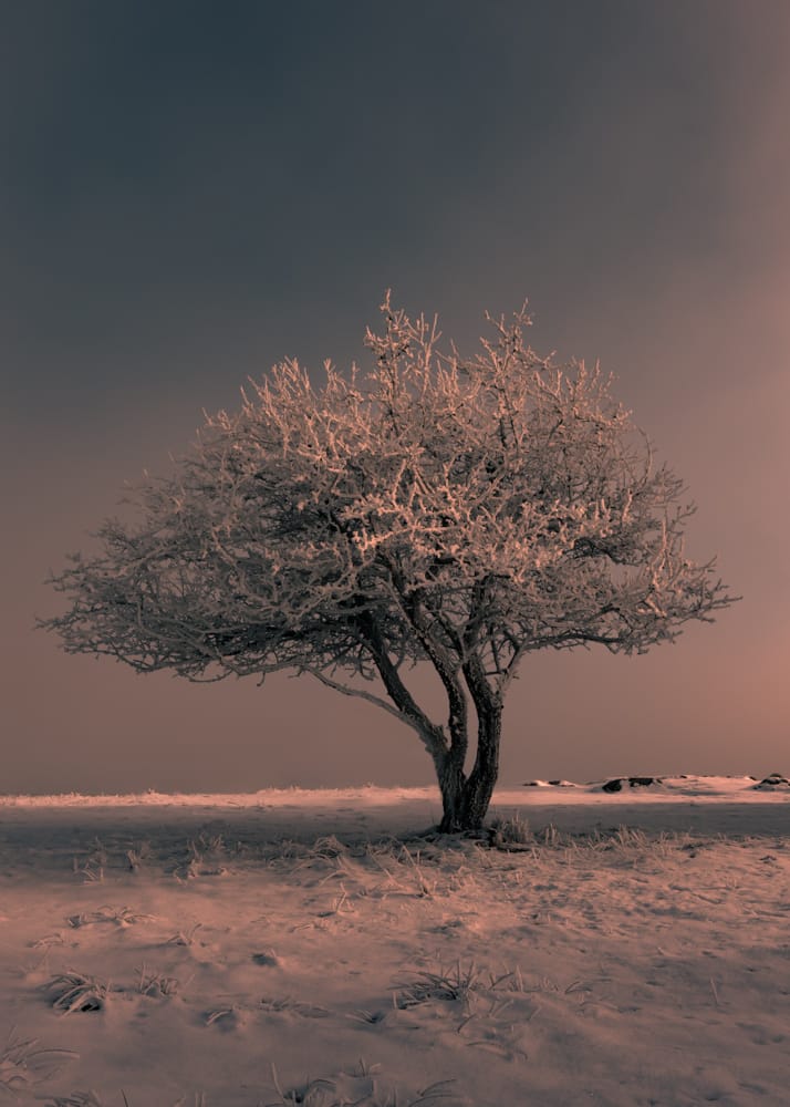 Tjörn, Sweden
